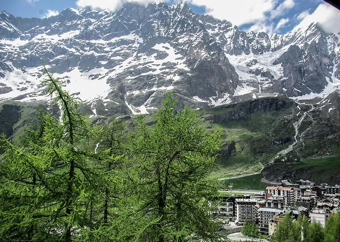 Contemporary In Near Area *