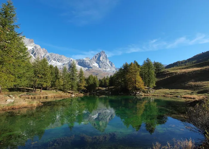 Contemporary In Near Area Apartment