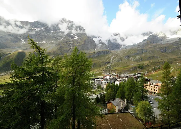 Contemporary In Near Area Apartment *