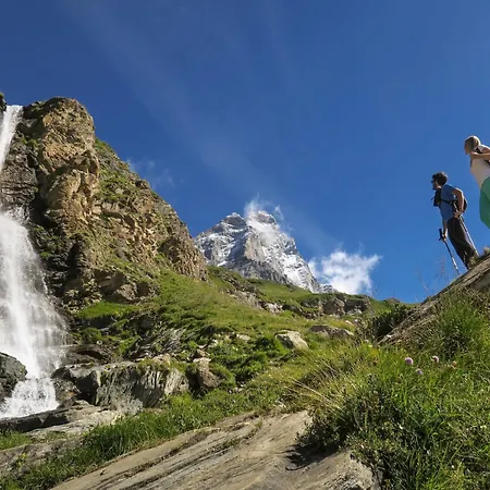 Contemporary In Near Area *